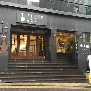 Petercat Shinchon *** Séoul